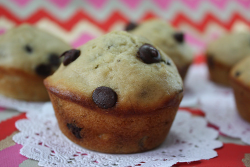 Muffins de chocolate y camber